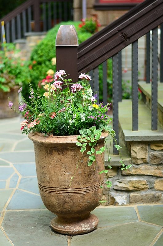 Seasonal potted flowers and landscape design in Linville, NC