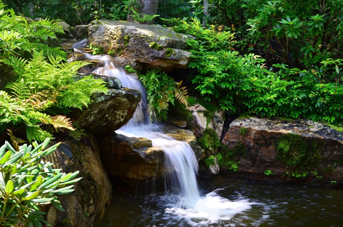 Award-winning landscape designers and water features in Linville, NC
