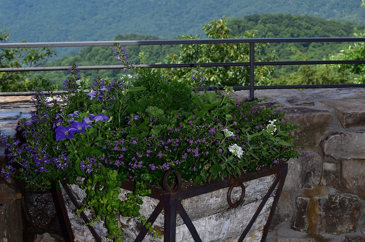 Gorgeous flower gardens in Linville, NC