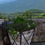 Gorgeous flower gardens in Linville, NC