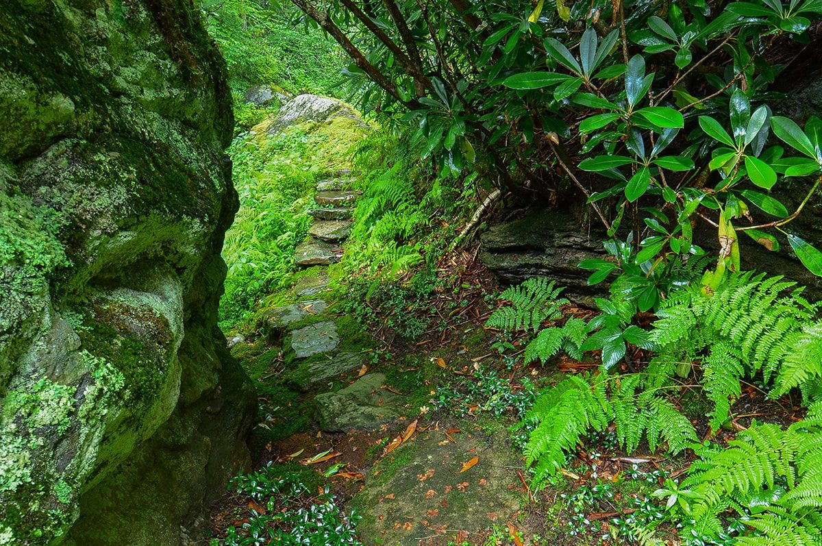 Stone pathway landscape design in Linville, NC