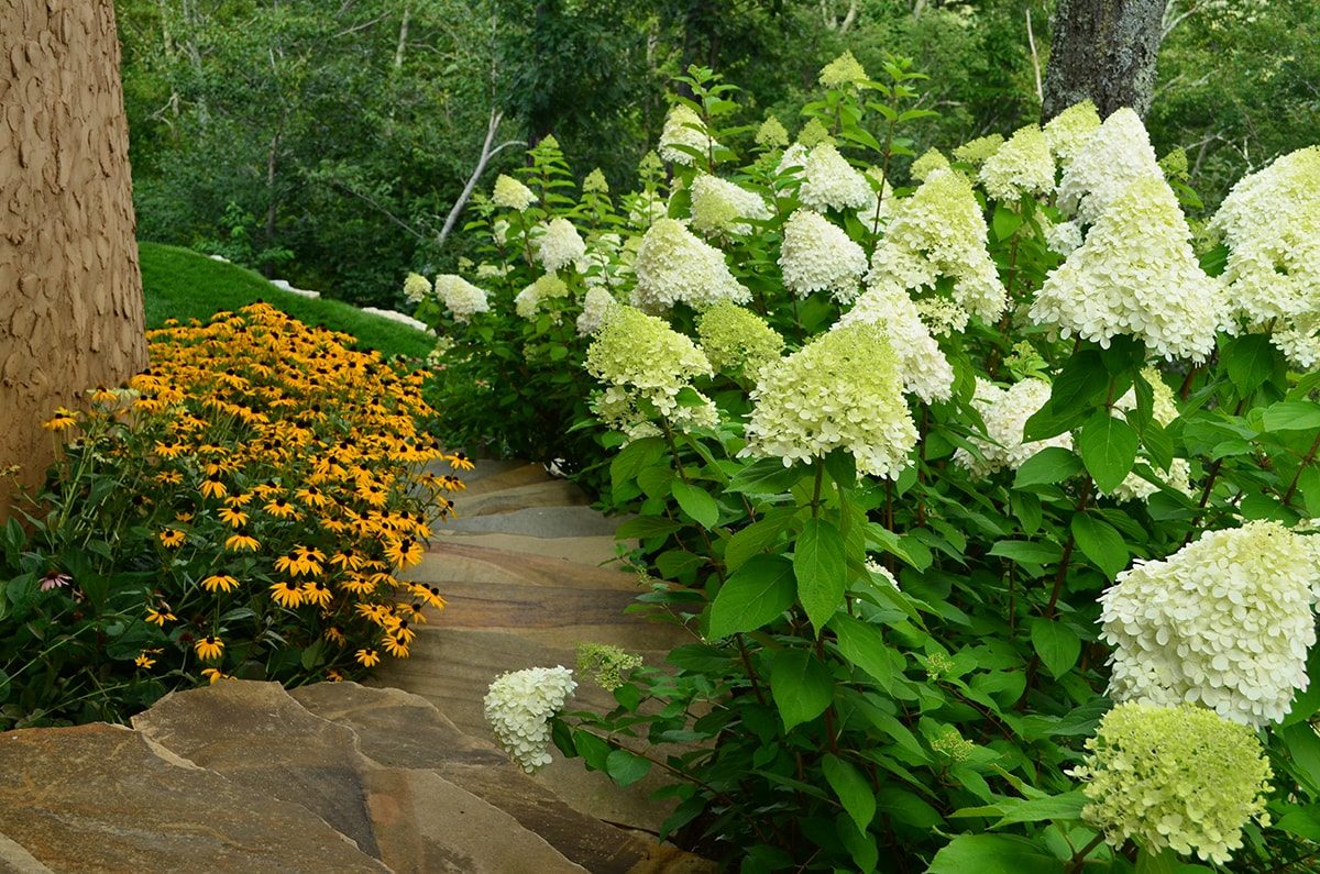 Stone pathway landscape design in Linville, NC