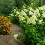 Stone pathway landscape design in Linville, NC