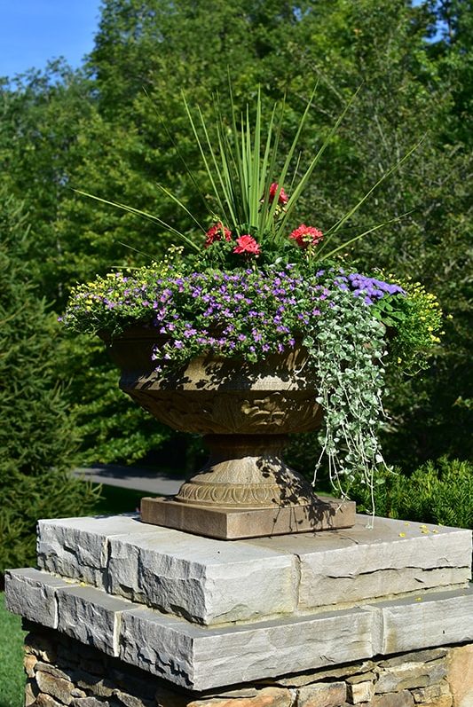 Seasonal potted flowers and landscape design in Linville, NC