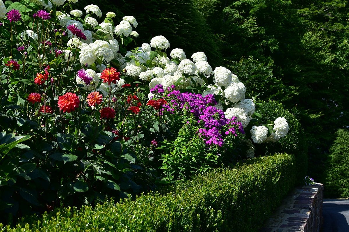 Landscaped flower gardens in Linville, NC