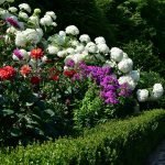 Landscaped flower gardens in Linville, NC