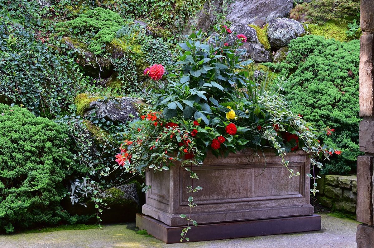 Seasonal potted flowers and landscape design in Linville, NC