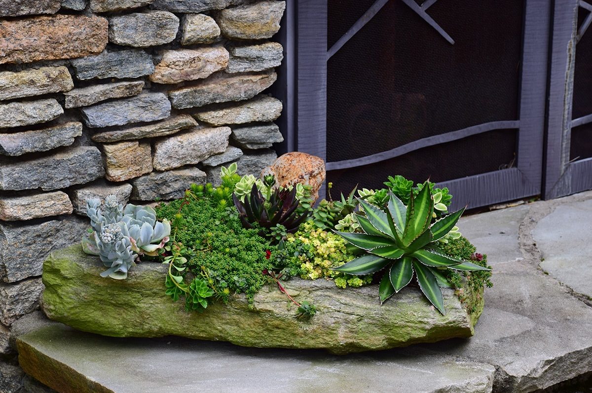 Seasonal potted flowers and landscape design in Linville, NC