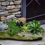 Seasonal potted flowers and landscape design in Linville, NC