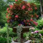 Seasonal potted flowers and landscape design in Linville, NC