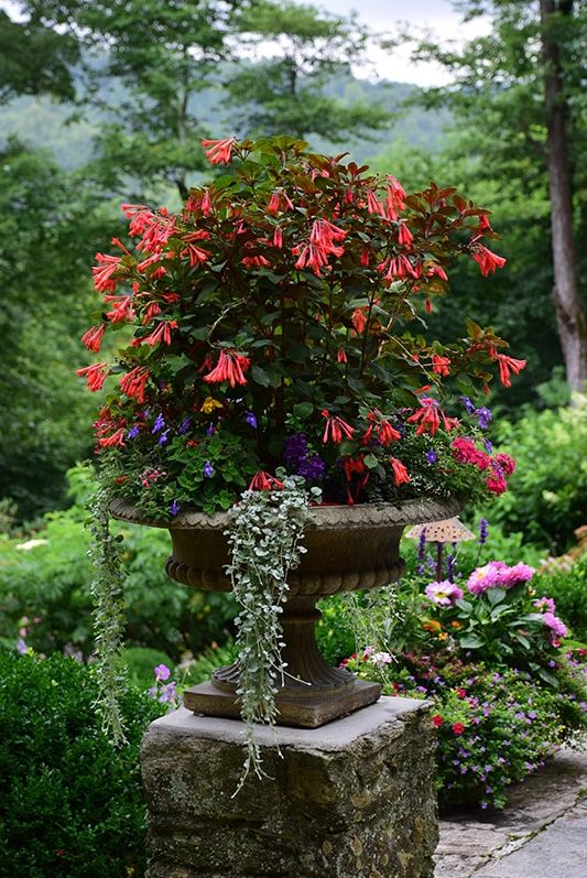 Seasonal potted flowers and landscape design in Linville, NC