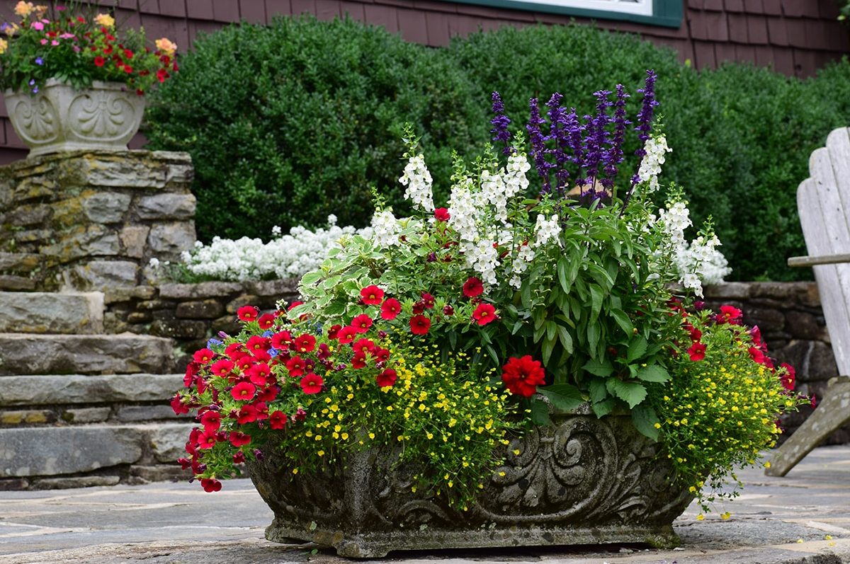 Seasonal potted flowers and landscape design in Linville, NC