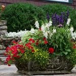 Seasonal potted flowers and landscape design in Linville, NC