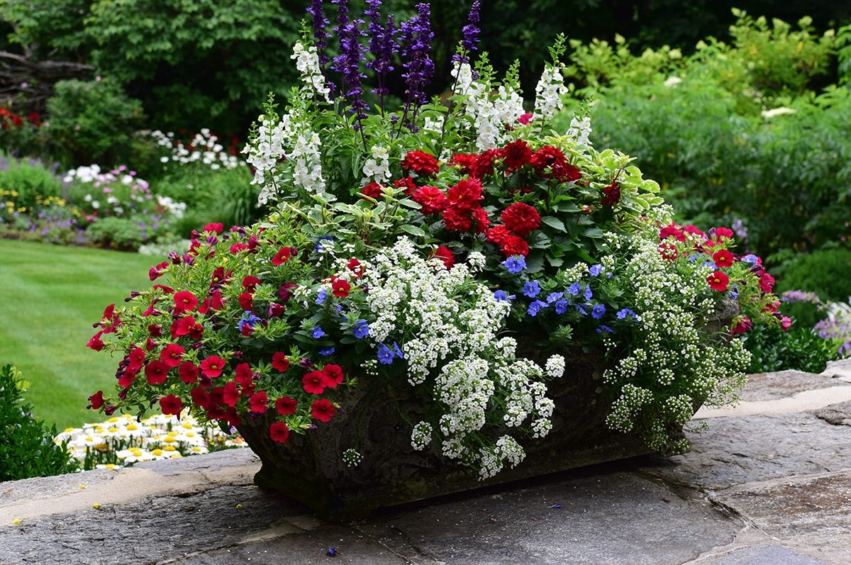 Seasonal potted flowers and landscape design in Linville, NC