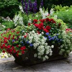 Seasonal potted flowers and landscape design in Linville, NC