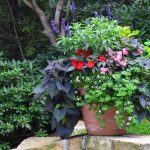 Seasonal potted flowers and landscape design in Linville, NC