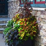 Seasonal potted flowers and landscape design in Linville, NC