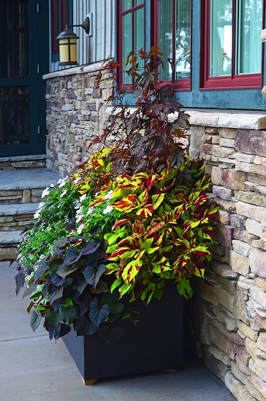 Seasonal potted flowers and landscape design in Linville, NC